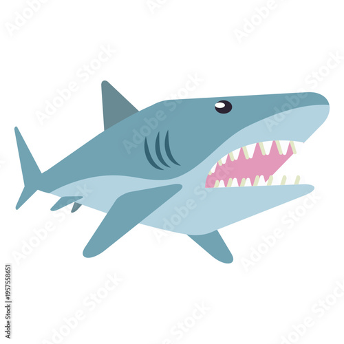 Shark jaw flipper tail tooth rounded flat