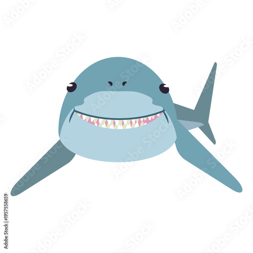 Shark jaw flipper tooth tail rounded flat