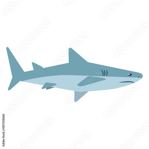 Shark jaw tail flipper rounded flat