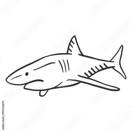 Shark tail fin doodle