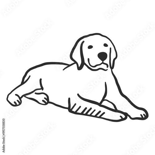 Dog puppy ear lying doodle