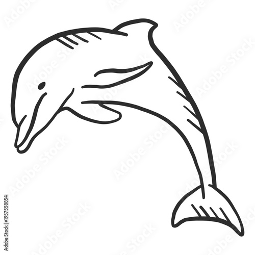 Dolphin tail flipper swimming doodle