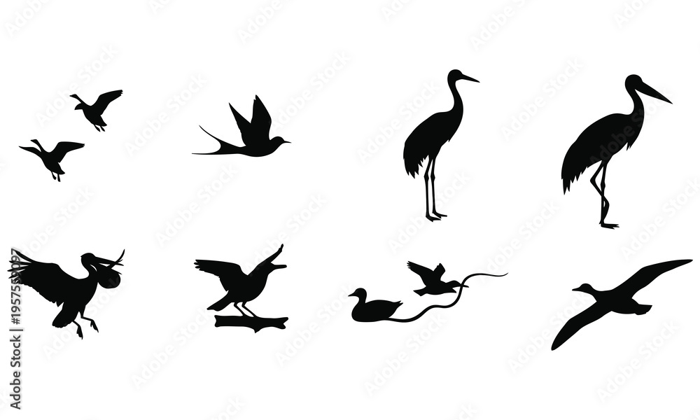Fototapeta premium Bird Silhouettes Collection Against White