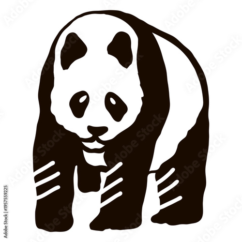 Panda spot ear muzzle fat doodle