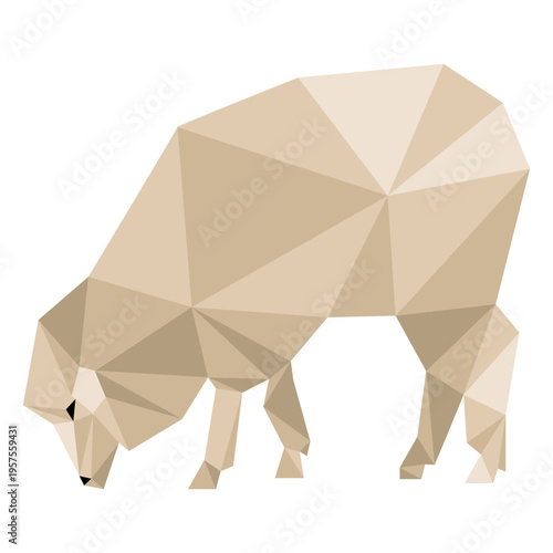 Sheep lamb wool ear hoof low poly