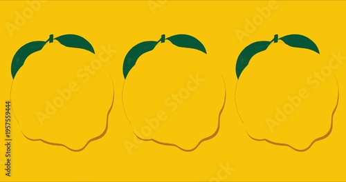 Quince abstract animated illustration 