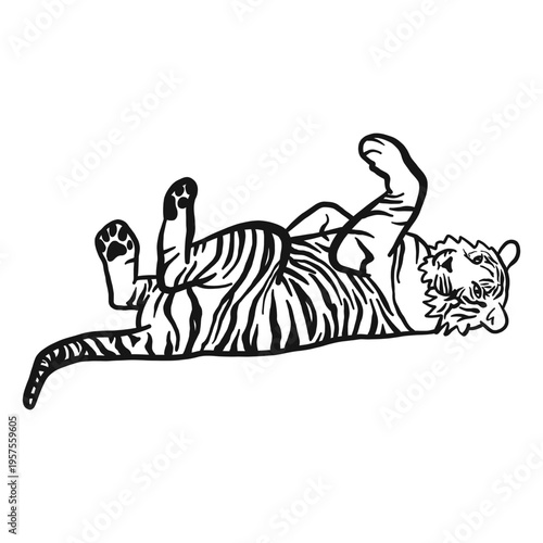 Tiger muzzle stripe lying tail ear doodle