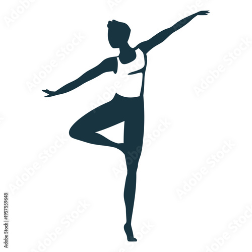 Ballet dancer grace posture detailed silhouette ballet