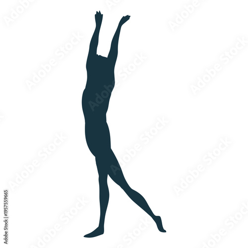 Ballet posture silhouette ballet