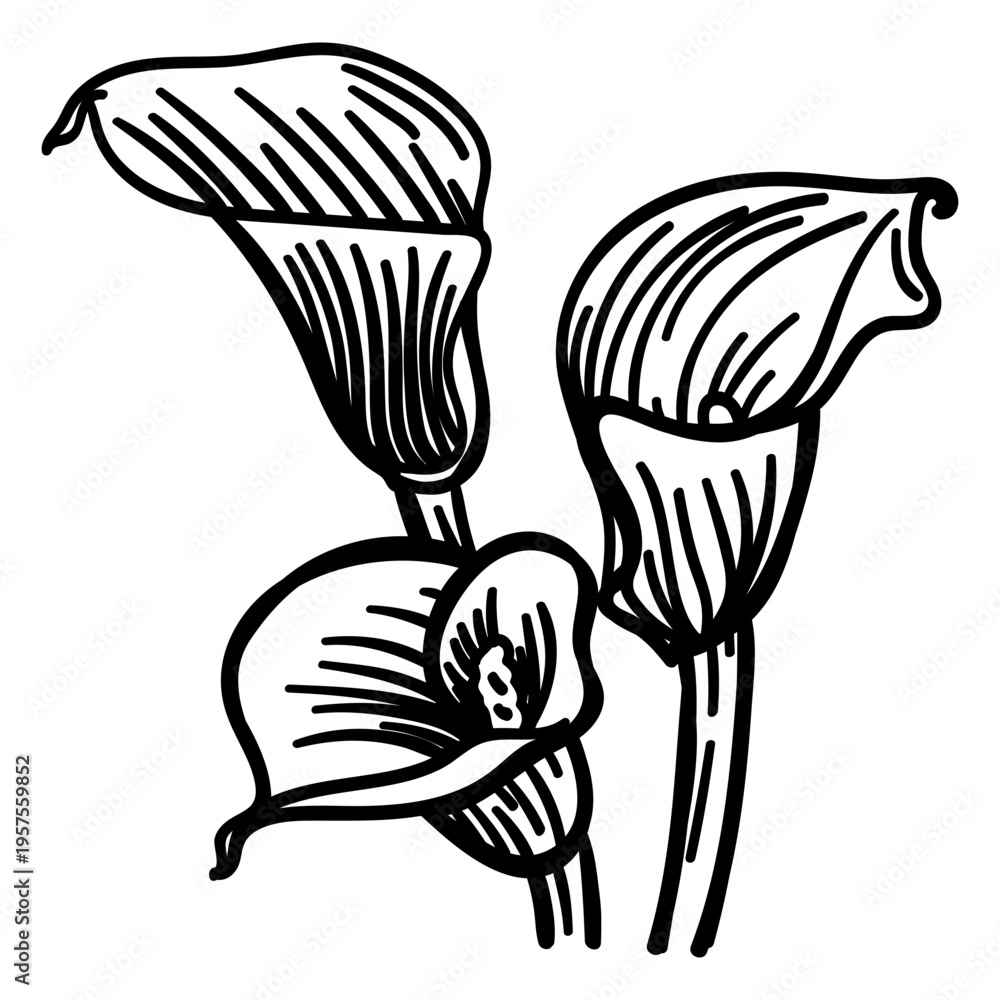 Obraz premium Stem stalk petal flower stroke