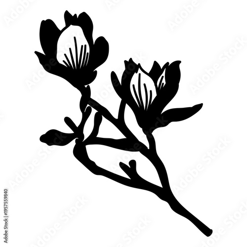 Stem stalk flower petal detailed silhouette