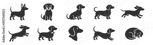 dachshund dog silhouette icons set in various poses vector illustration on transparent background