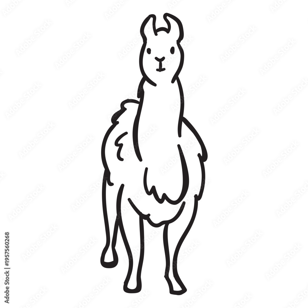 Naklejka premium Lama stroke