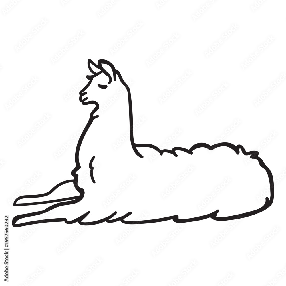 Naklejka premium Llama sleeps stroke
