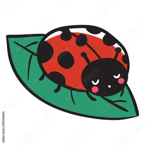 Cute ladybug resting leaf