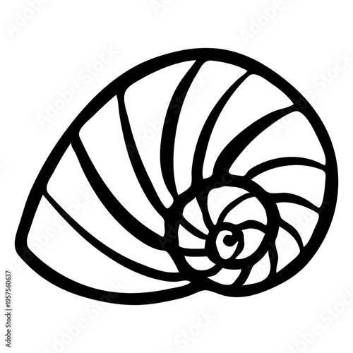 Stroke nautilus seashell