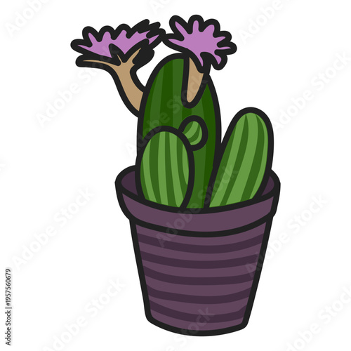 Colorful succulent illustration