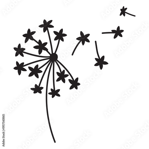 Fotografija star-shaped petals dandelion stroke