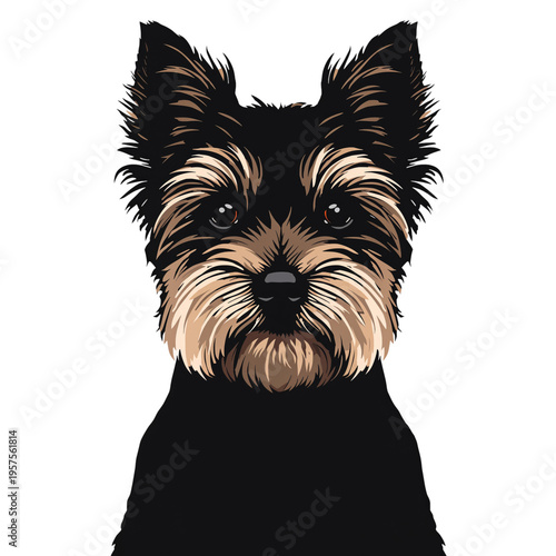 Dog Portrait of a Yorkshire Terrier With Detailed Fur and Expressive Face