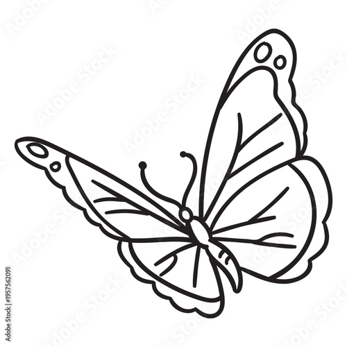 Simple butterfly stroke