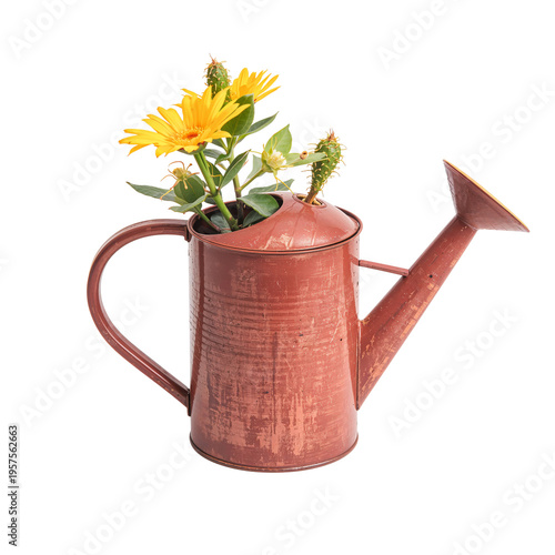 Metal Watering Can With a Rustic Finish Placed on a Plain Surface for Garden Use