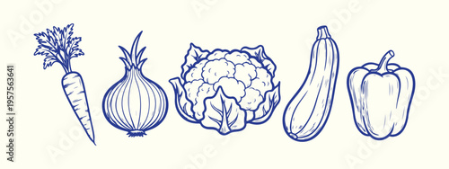 Sketch vector illustration of fresh vegetables carrot onion artichoke eggplant bell pepper