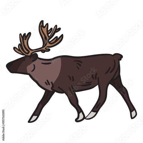 Moose animal antlers illustration