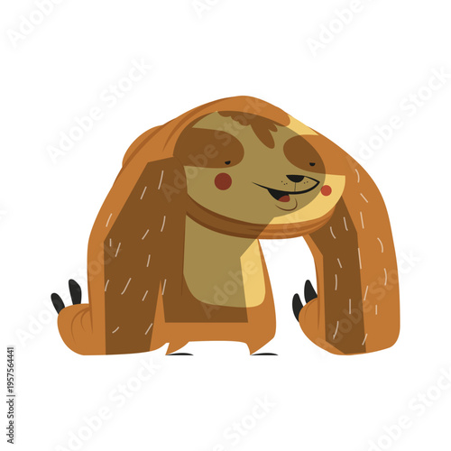 Cute lazy sloth