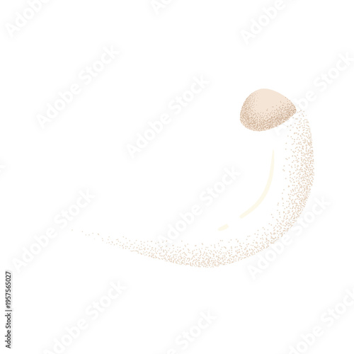 Ram horn white textured