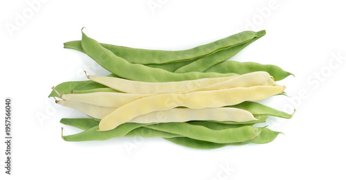 Phaseolus coccineus flat green pods