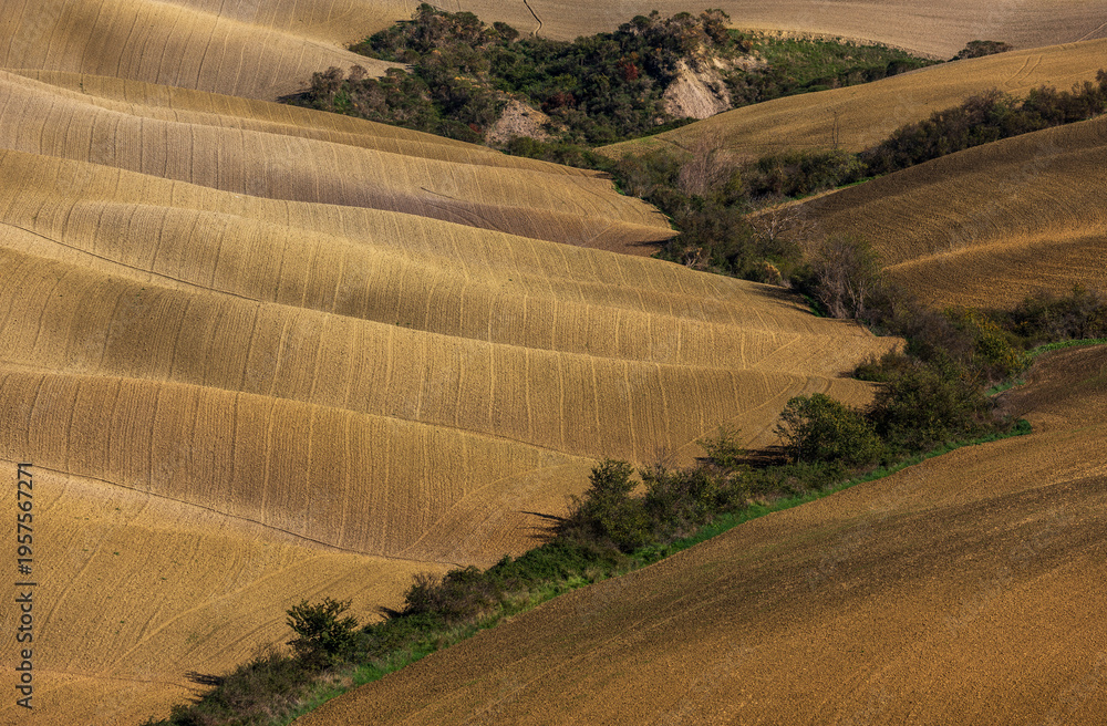 Fototapeta premium Rolling hills of cultivated land in Tuscan landscape, Italy.