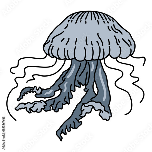 Jellyfish sealife stroke