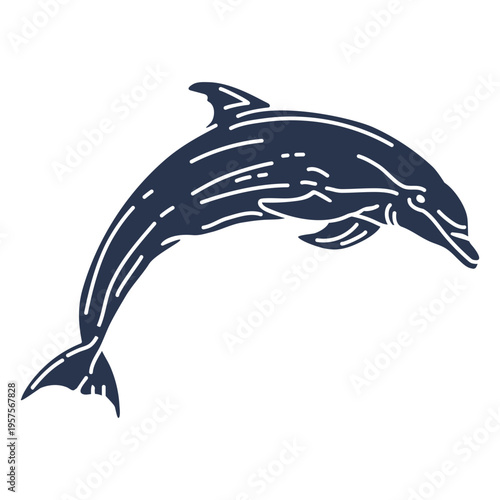 Silhouette dolphin aquatic mammal