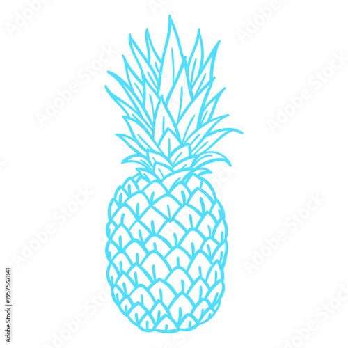 Silhouette pineapple tropical fruit