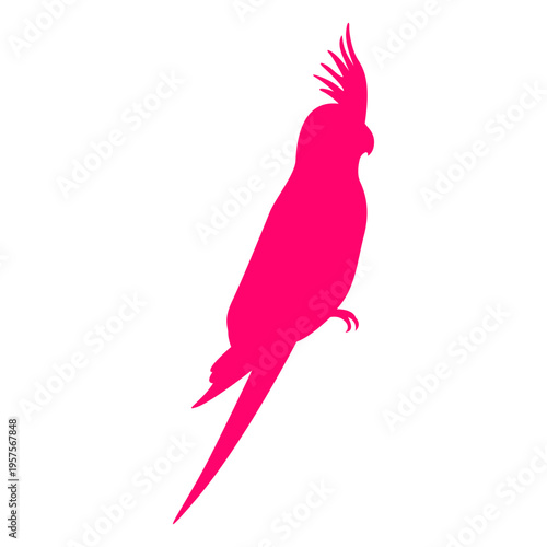 Sitting cockatoo bird silhouette