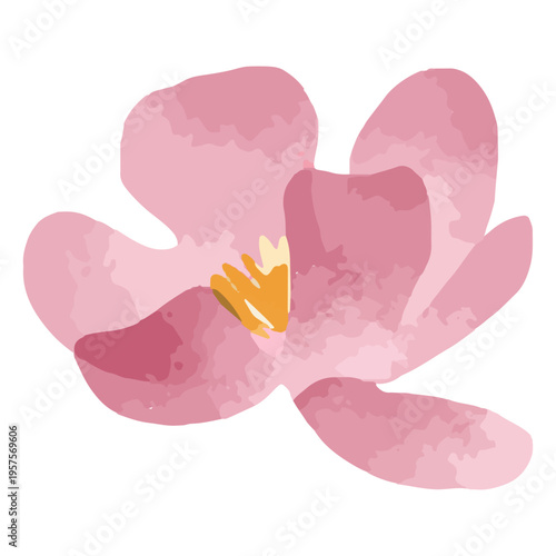 Watercolor pink bloom