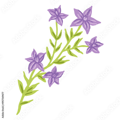 Purple flower leaves flat