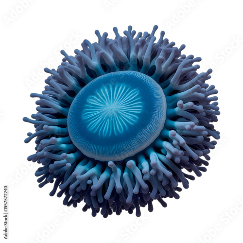 A blue colored microscopic view of a cell isolated on transparent background