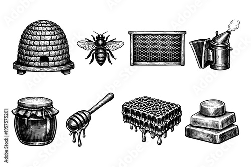 Vintage beekeeping illustrations featuring a hive, bee, honeycomb, and honey products