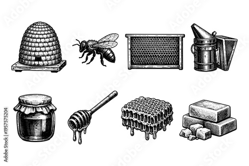 Vintage illustration of beekeeping tools and honey products, a collection of apiary essentials
