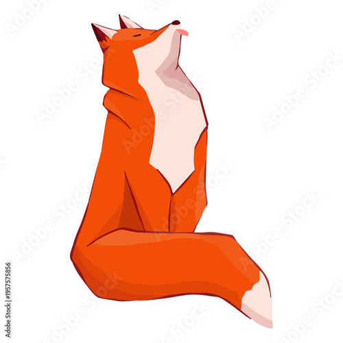 Funny fox animal