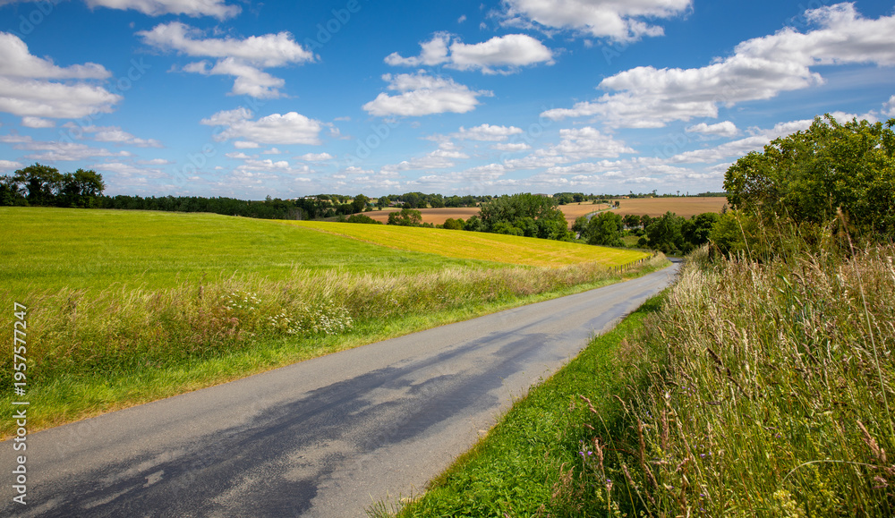 Naklejka premium Beau paysage de campagne au printemps et route au milieu des champs sous le ciel bleu.