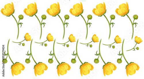 Seamless pattern of yellow buttercup flowers and green stems vector for spring and summer designs
