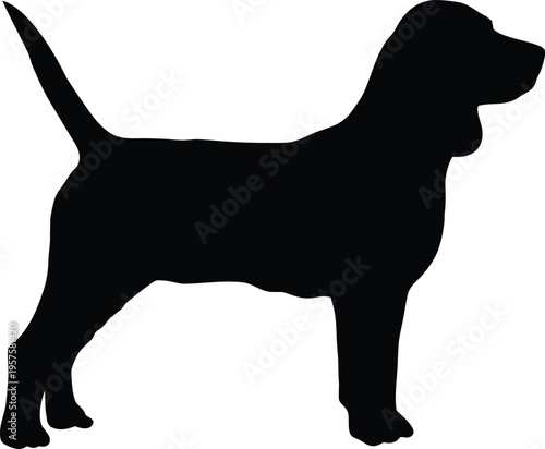Black and white sleek standing beagle silhouette vector