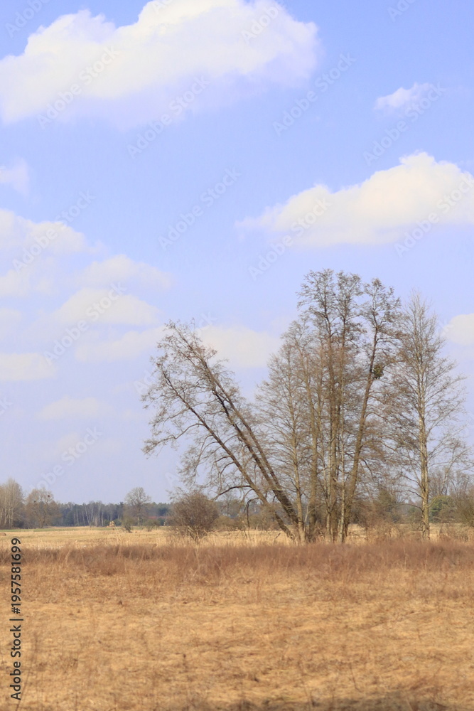 Fototapeta premium Kurpiowski pejzaż na przedwiośniu