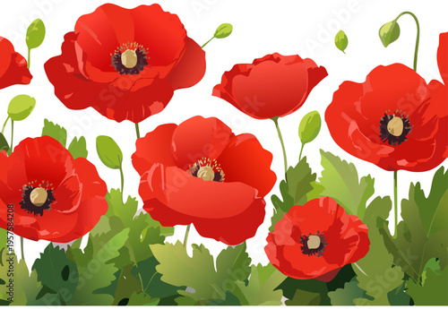 Minimalist Red Poppy Meadow Illustration For Stationery