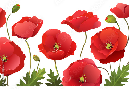 Elegant Wildflower Frame Header For Spring Design