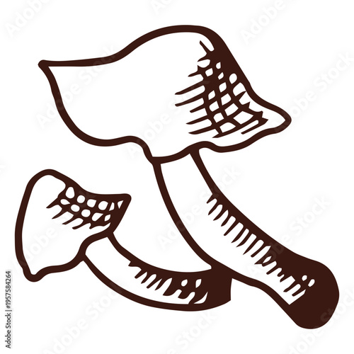 Little growing mushrooms