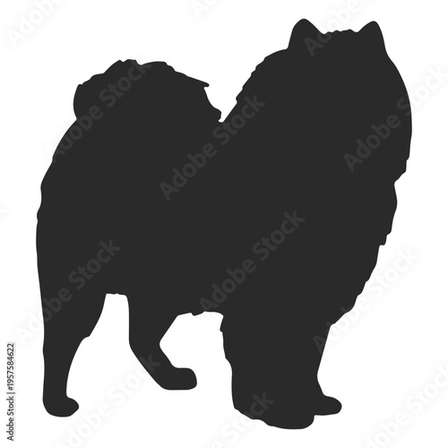 Akita silhouette