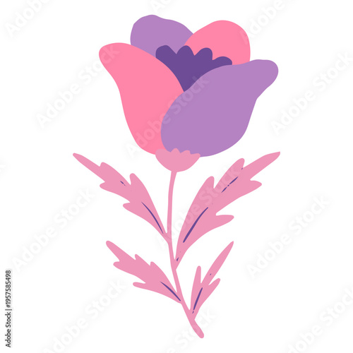 Pink and lilac flat flower